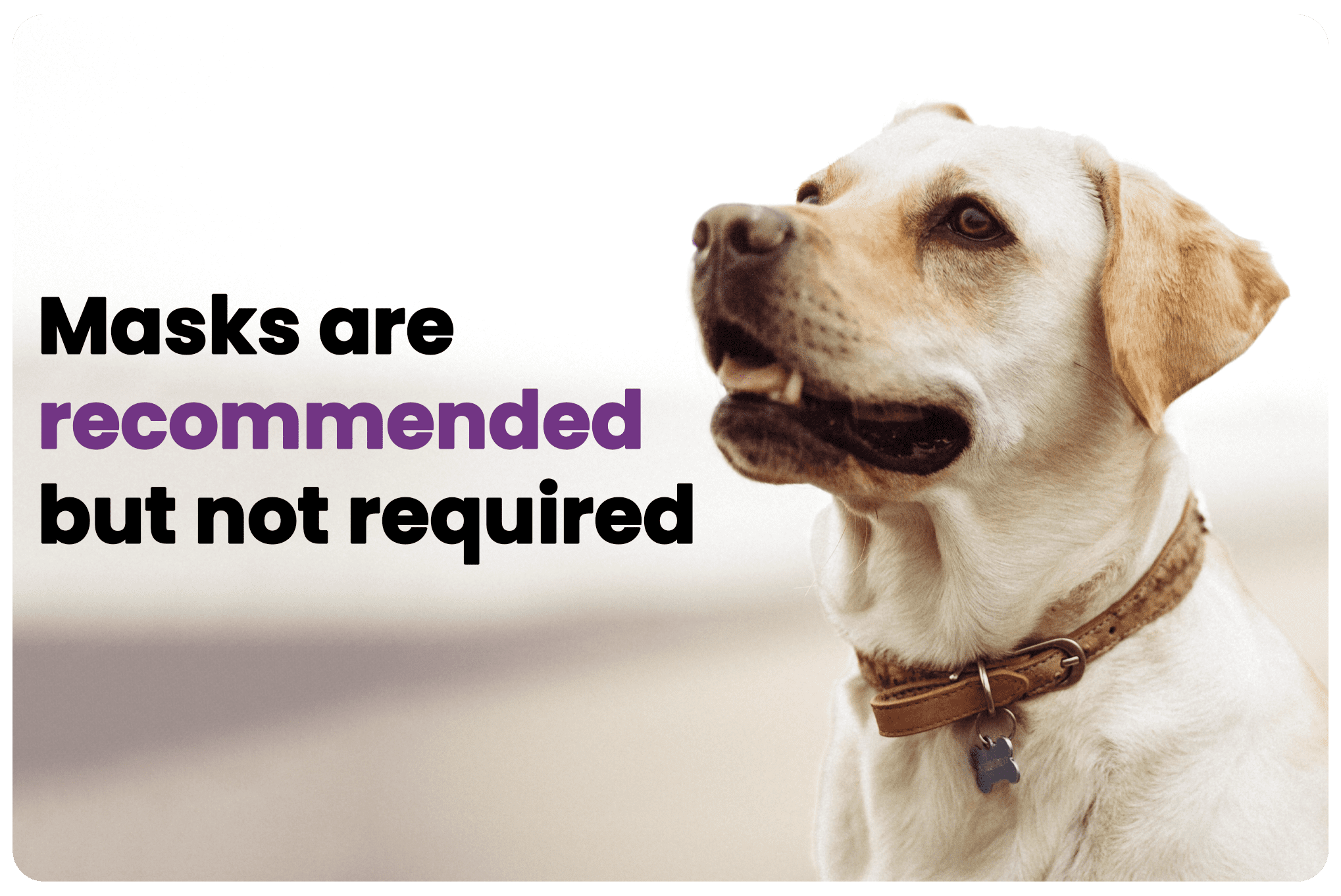 Masks are recommended but not required.