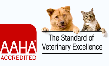 The Standard in Veterinary Excellence AAHA Certified